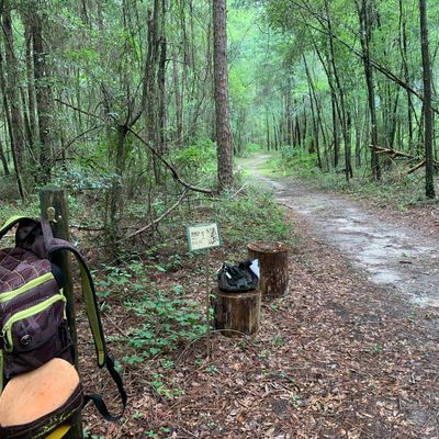 Grant’s Pass tee pad - Hole #8