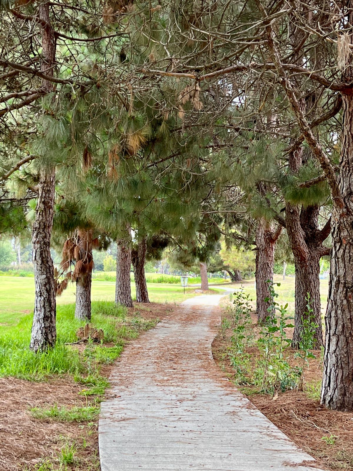 Shoot through on hole 16.