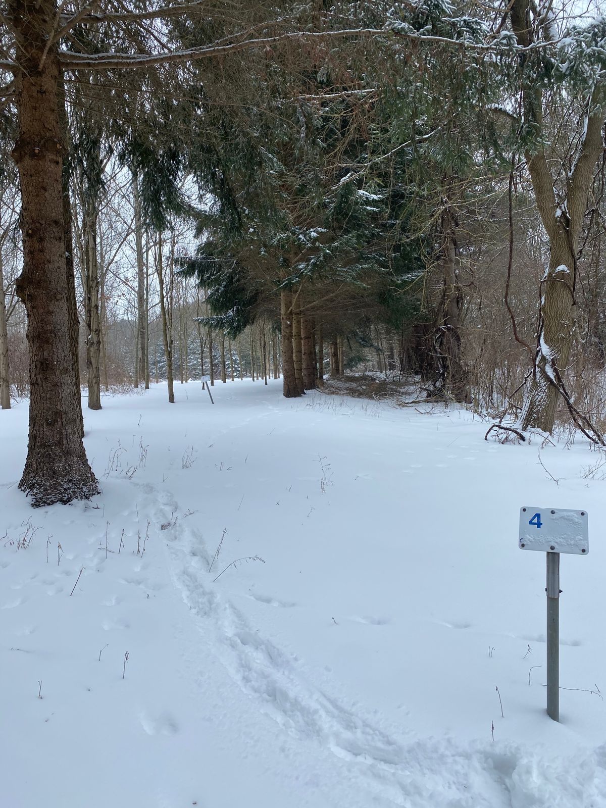 Hole 4 Blue