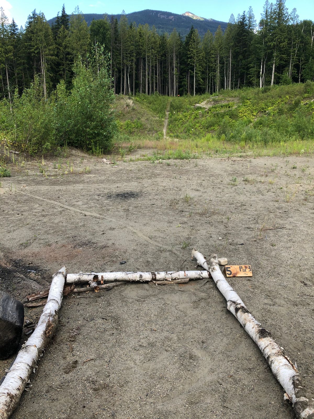 Hole 5 tee
