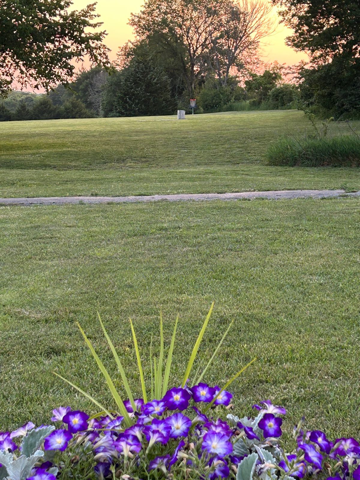 Hole #1 B basket look from tee pad
