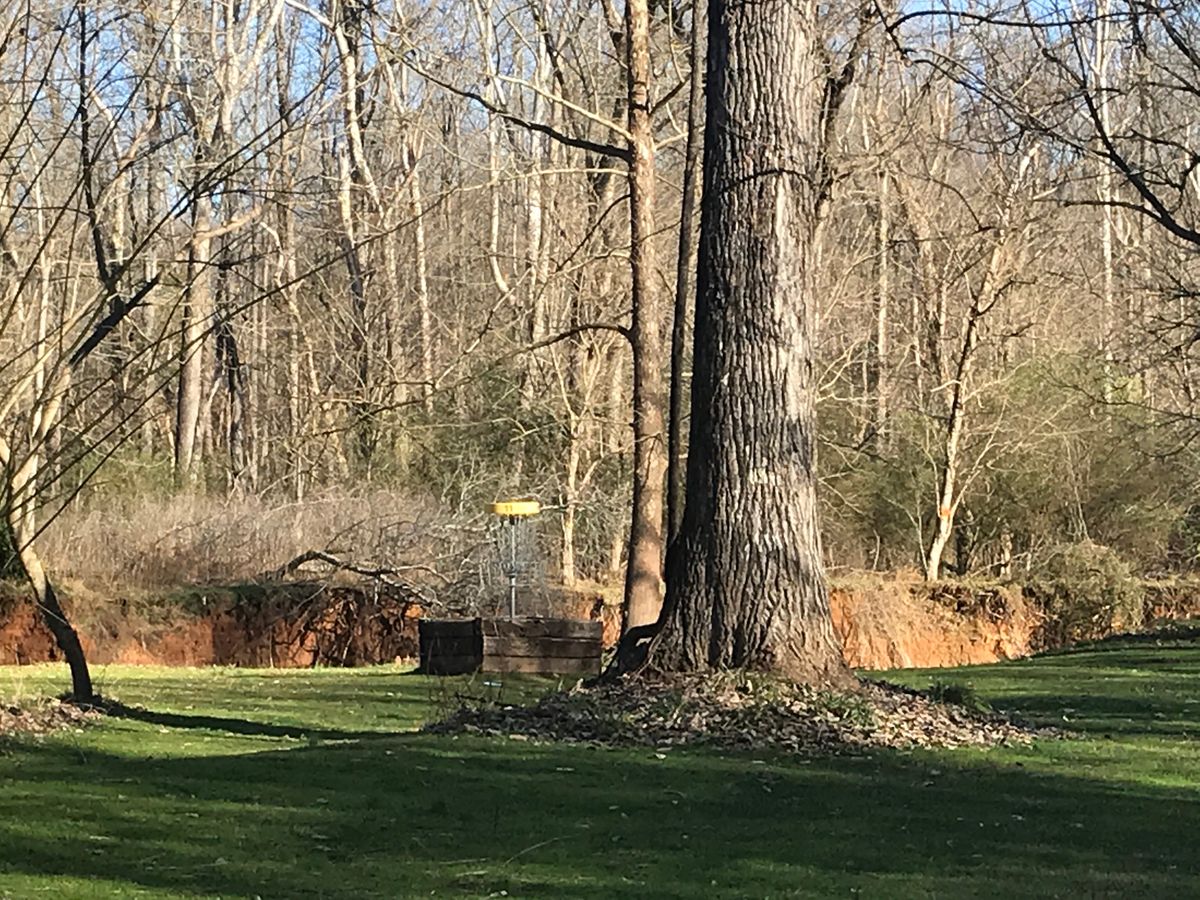 Hole 11, par 3. Approach shot to the basket. Taken 1/12/2020