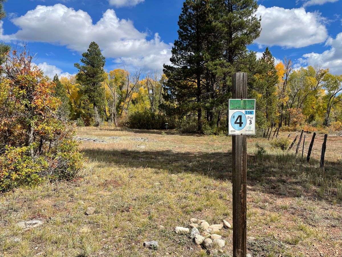 Hole 4 Silver Pick Disc Golf Course