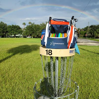 Springfield dgc hole 18 after some light rain.