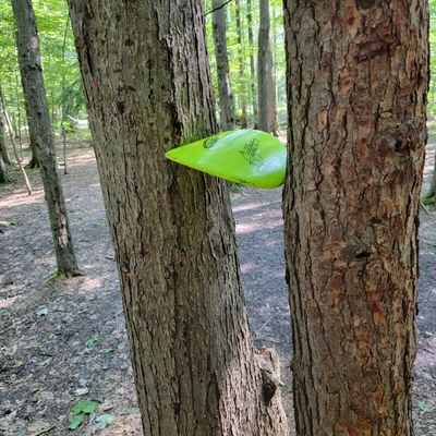 Watch out on hole 7..