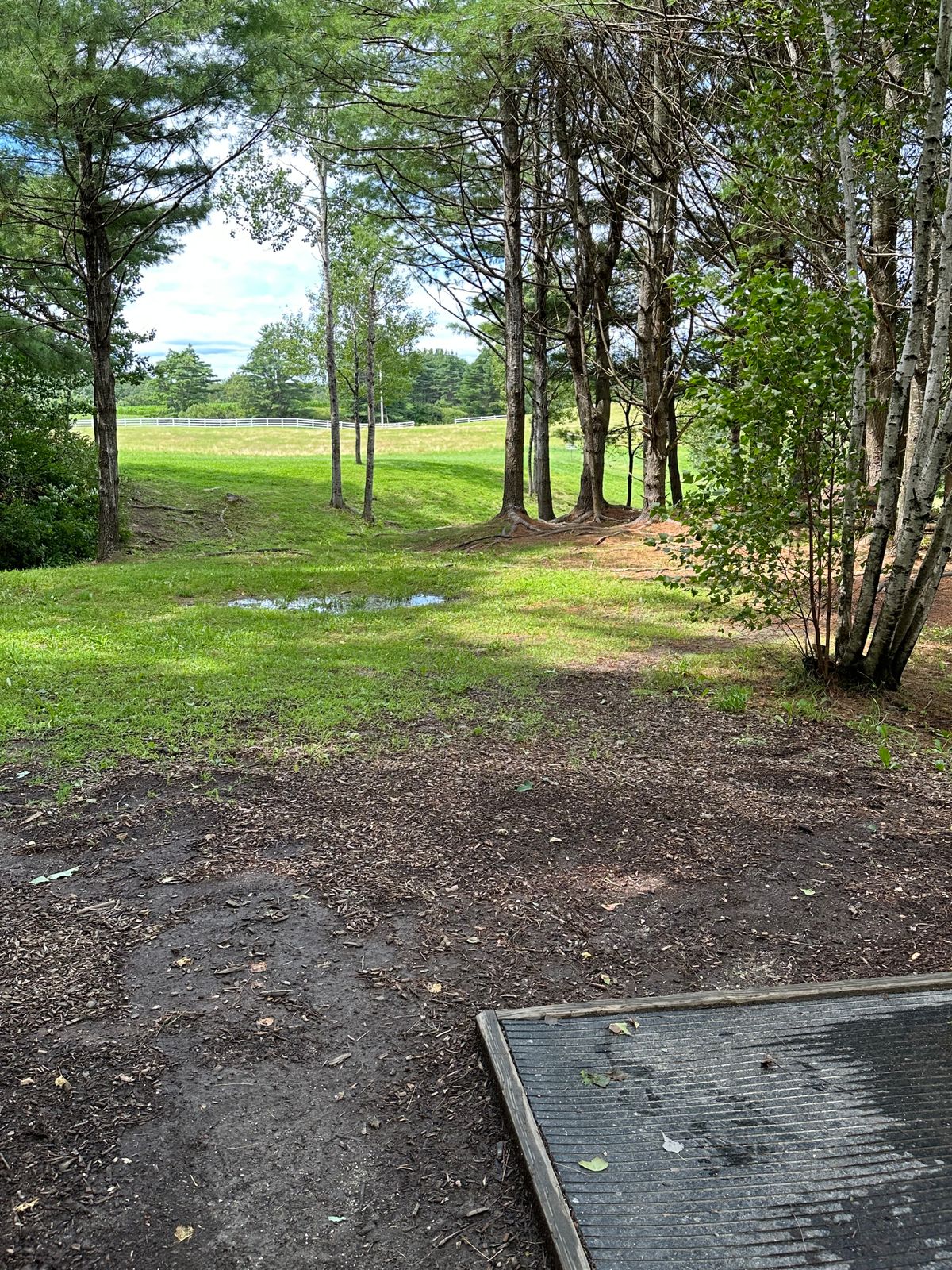 Hole 6