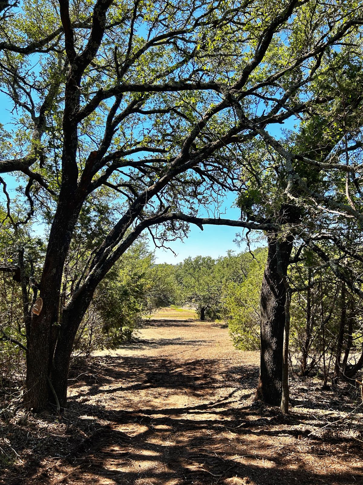 Hole 13 teepad
