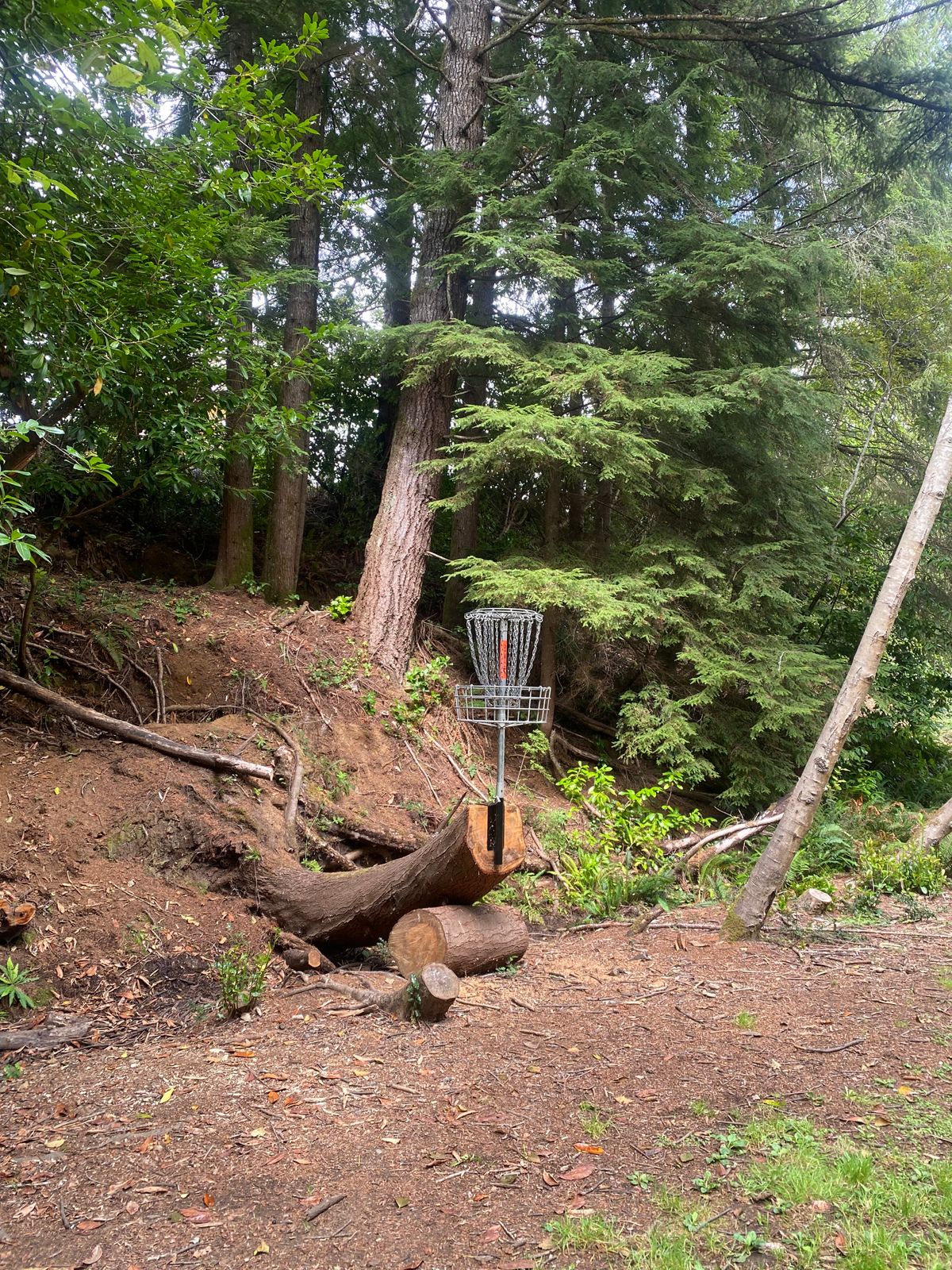 Hole 10