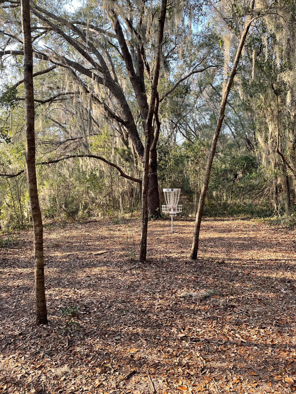 Hole 3