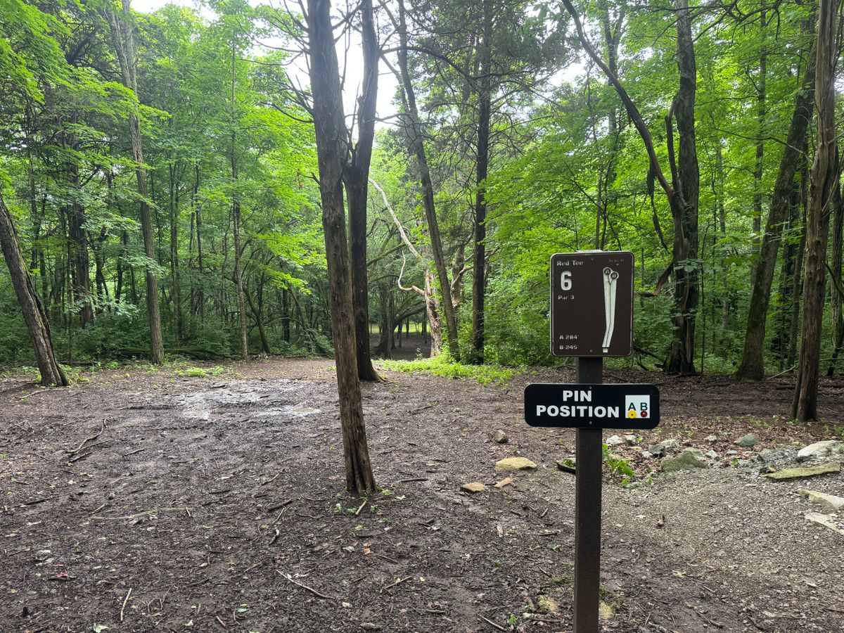 Tee hole #6