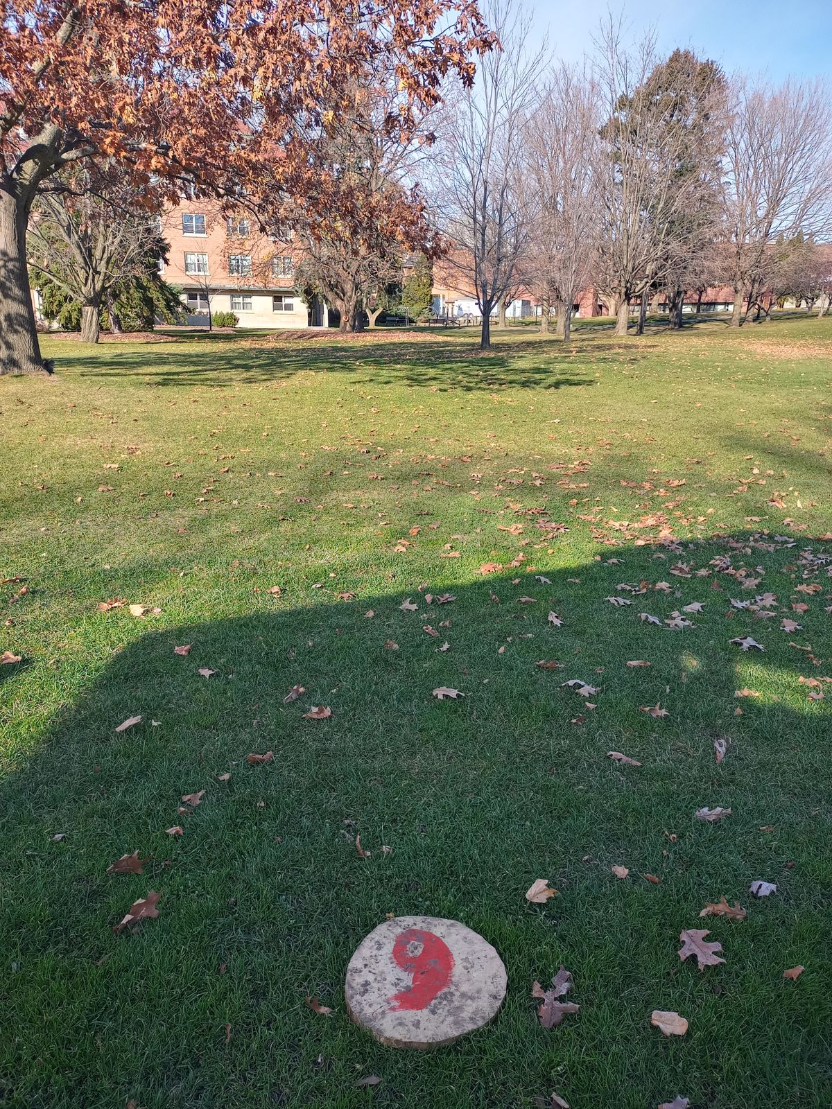 Hole 9 tee