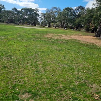 View from the 2nd shot if you land short on hole 2.