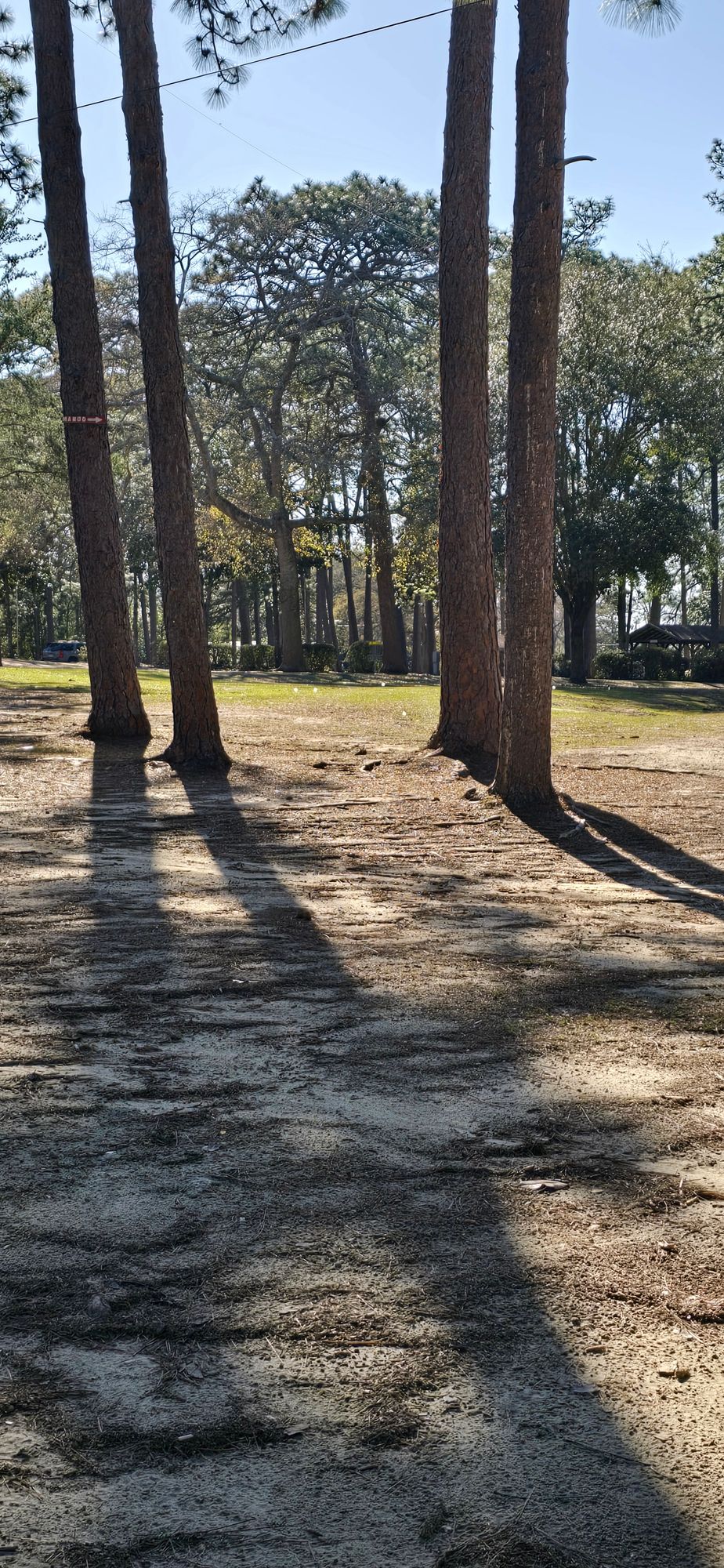 From hole 10 short pad