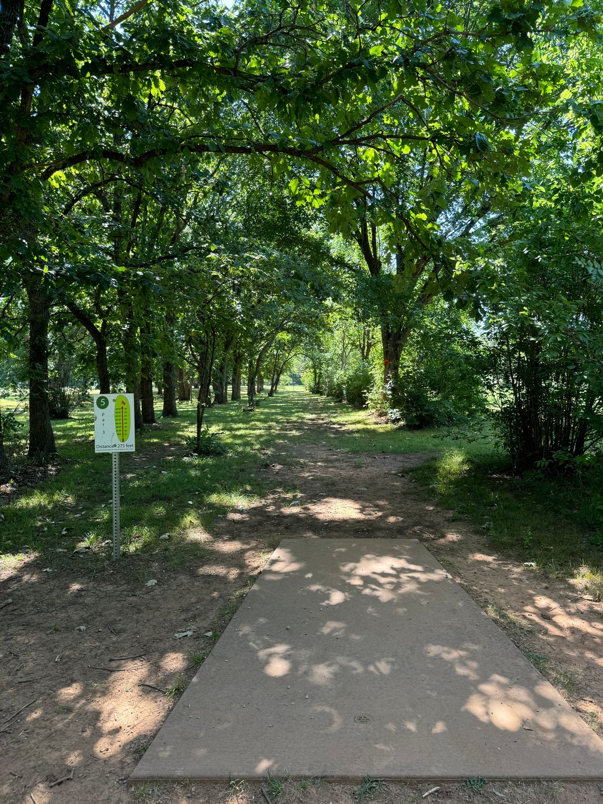 Hole 5 - straight tunnel shot.