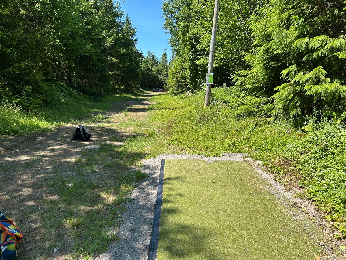 17 white fairway.