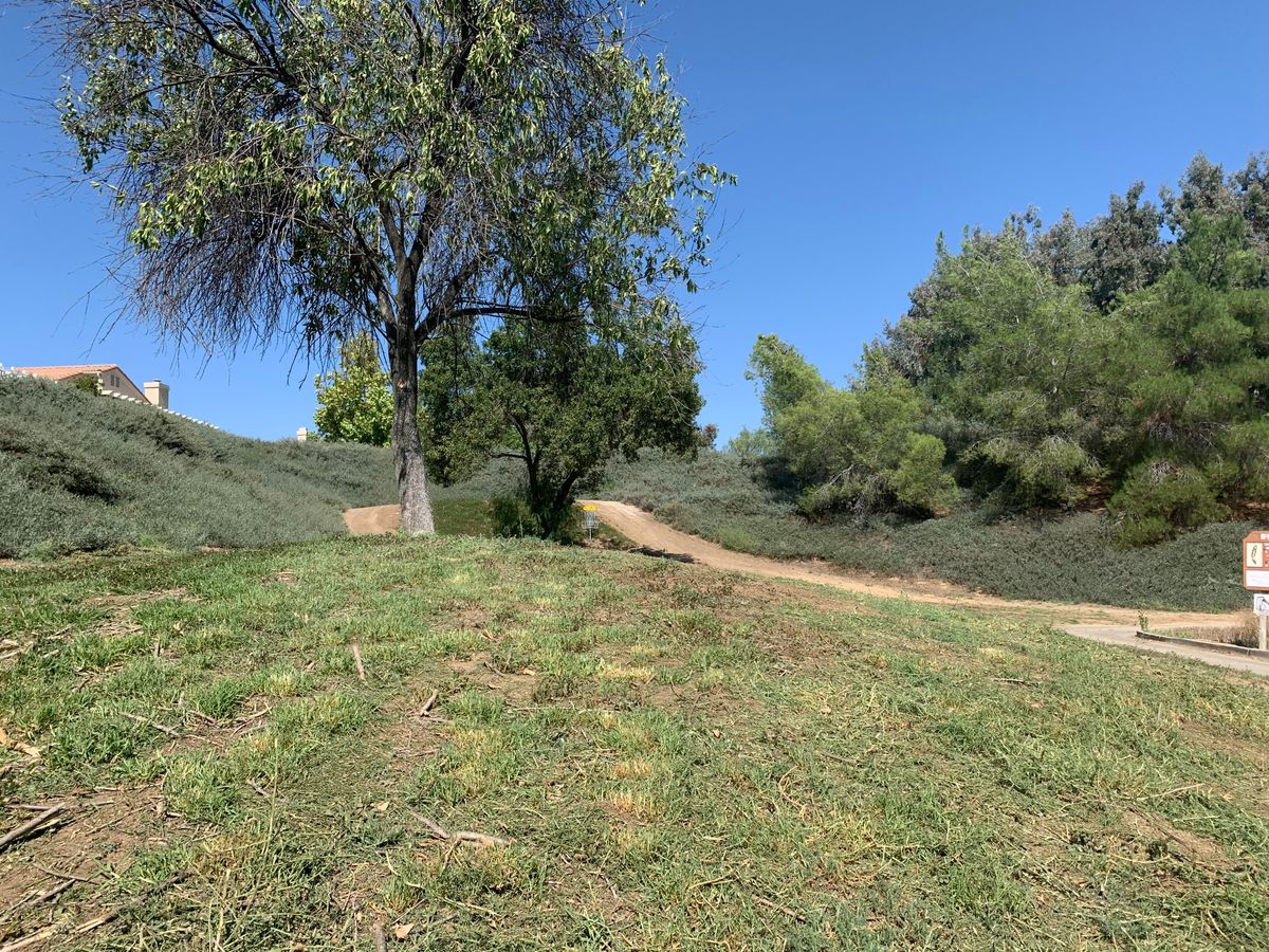 Alpha Hole 11