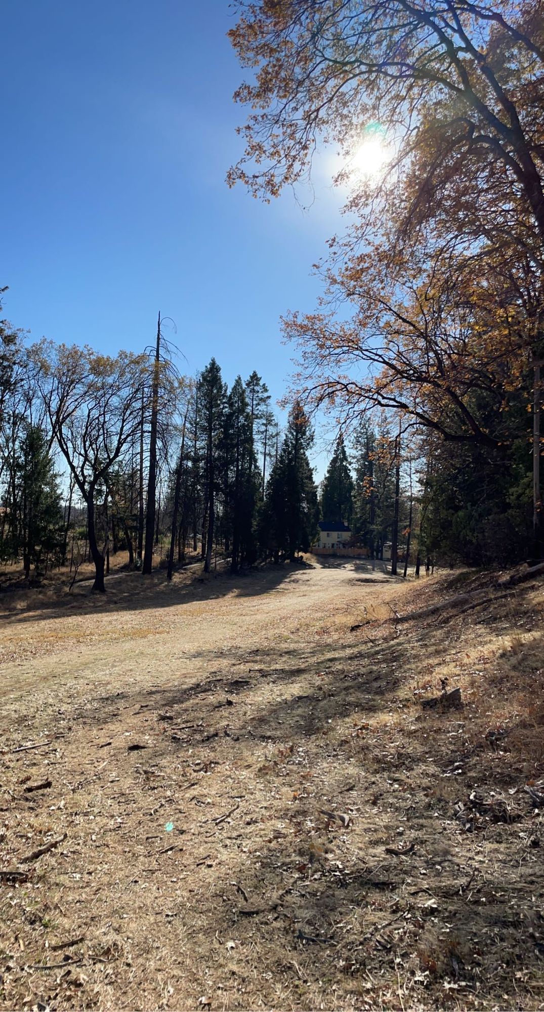 Hole 8 Teepad