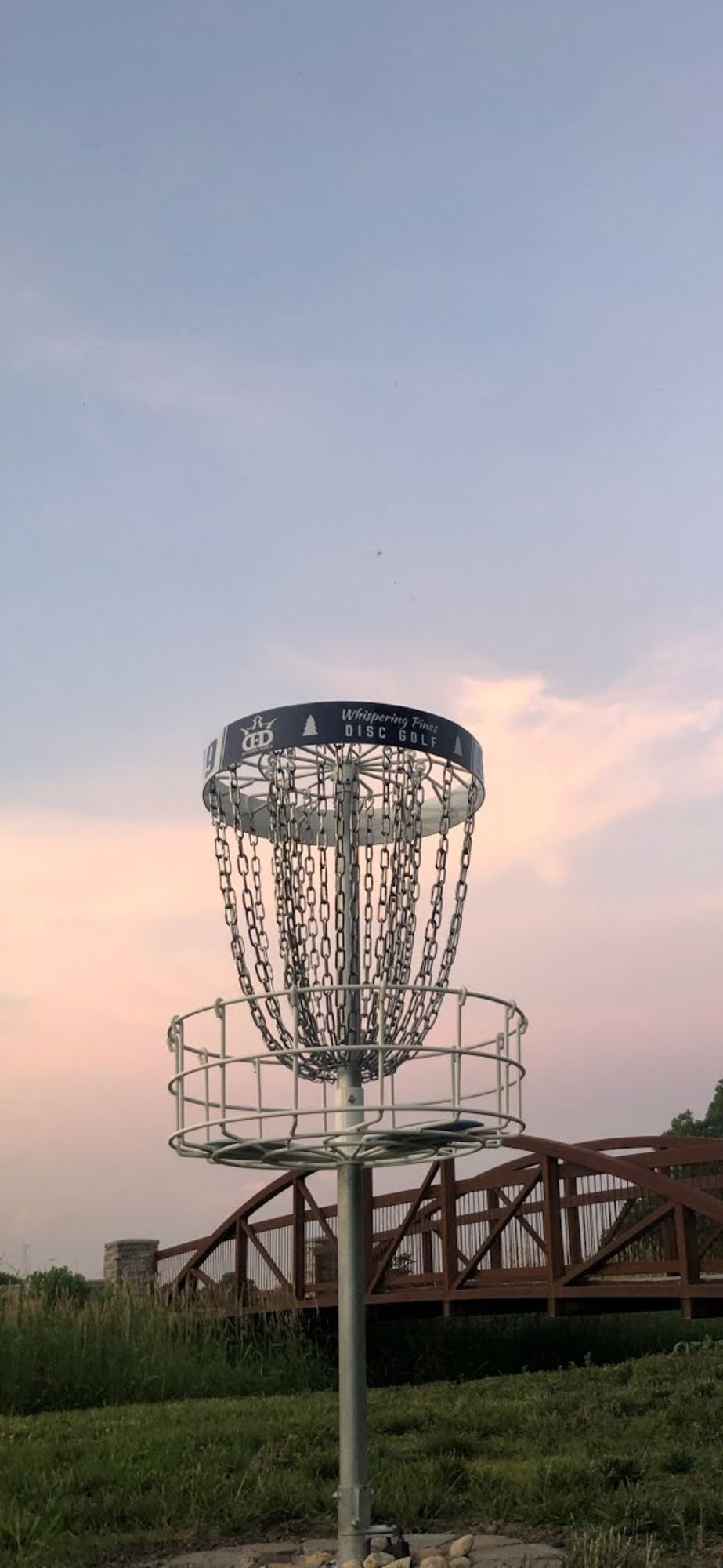 Basket #9