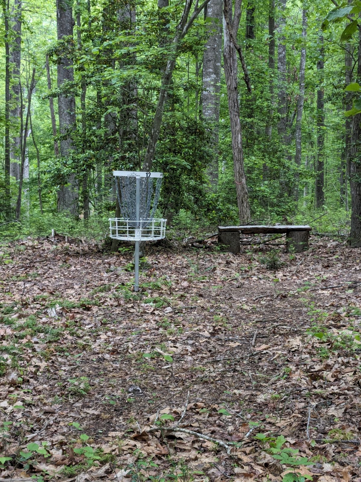 Hole 12 Rest Area