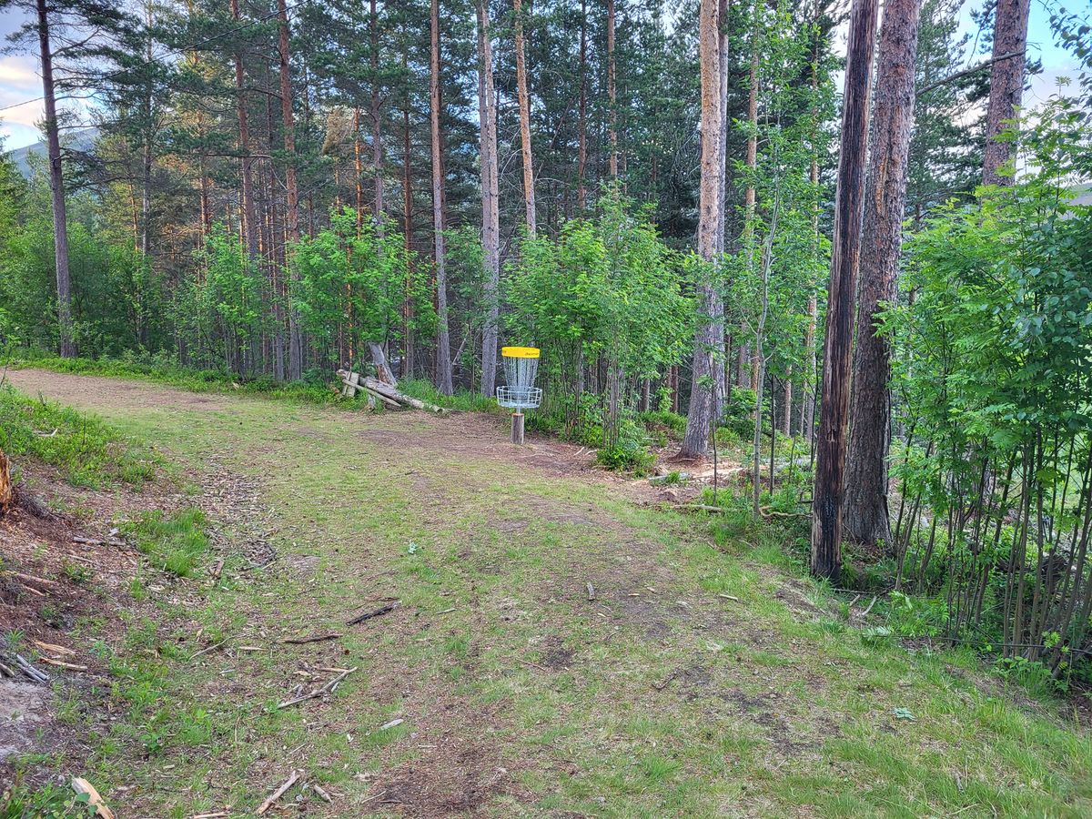 Kurv bane 2 "SPAR ALVDAL"