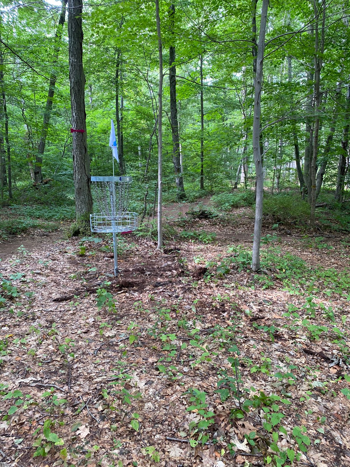 Go across the field after this hole.