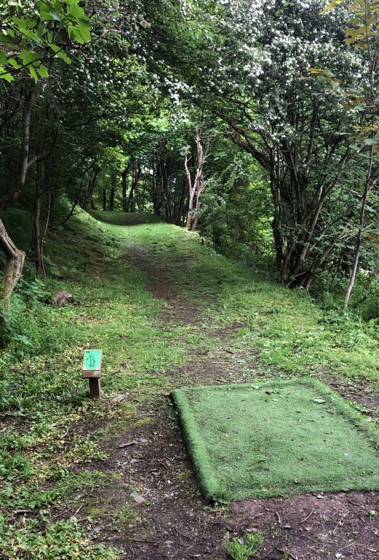 Hole 14 - tight tunnel. Opens up to a death putt. :)