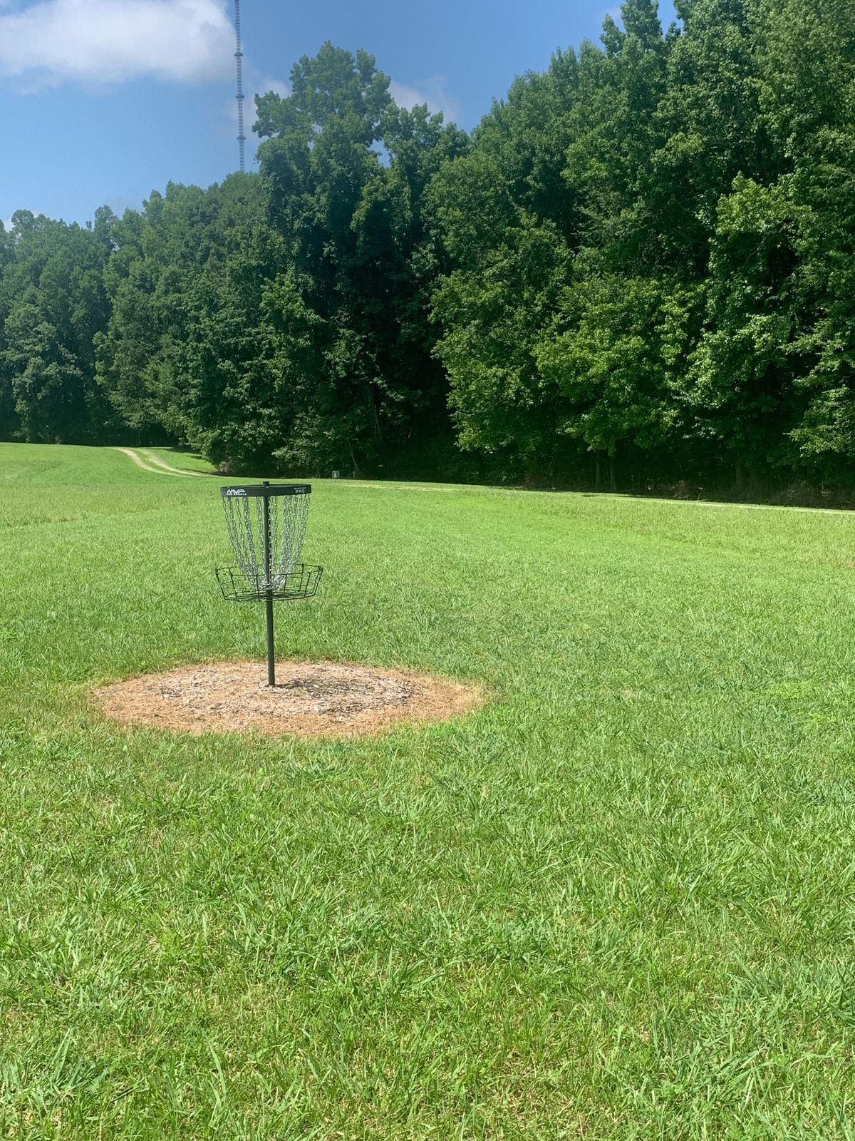 Hole 9 Basket. 