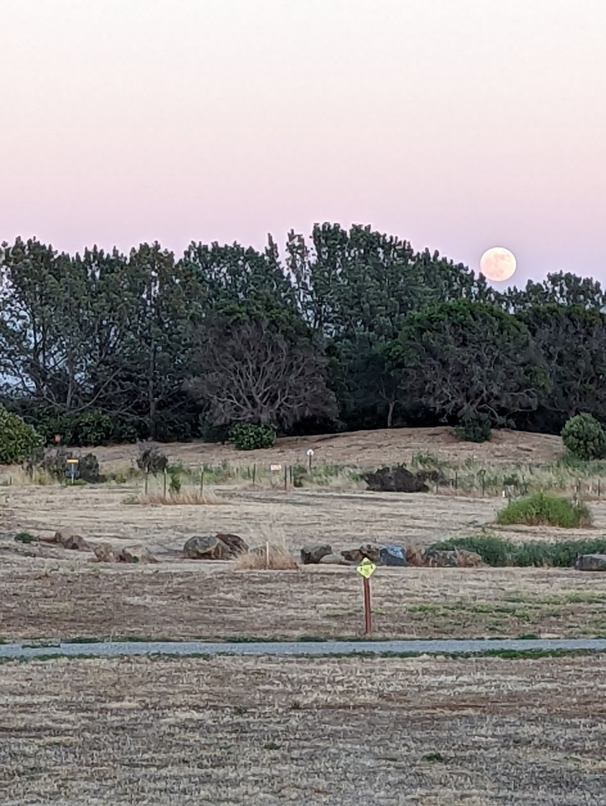 18 Yellow and moon