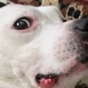 User avatar image