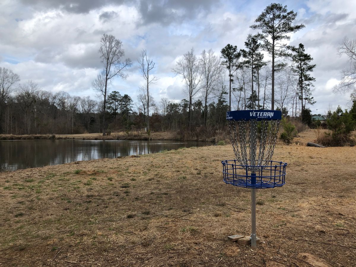 #17 basket to tee