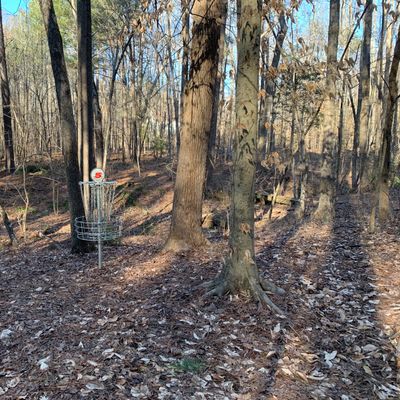 Hole 5 green