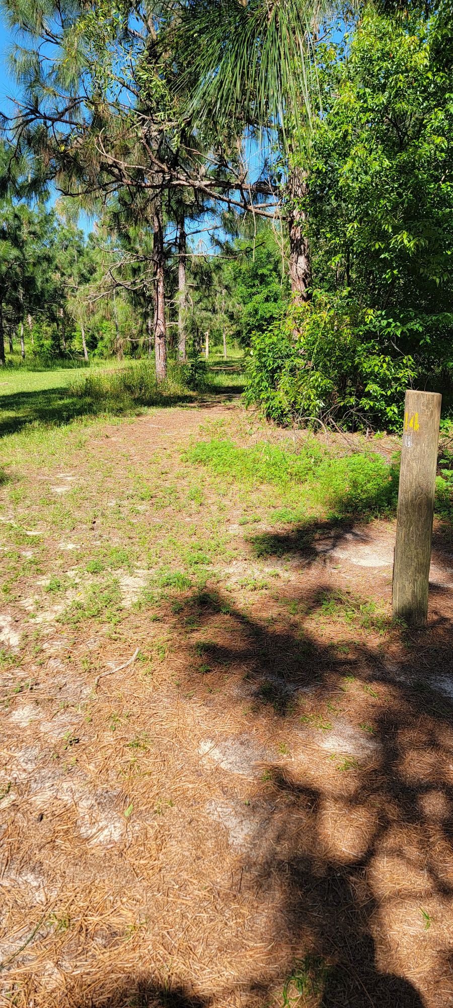 Hole 14, 225 feet