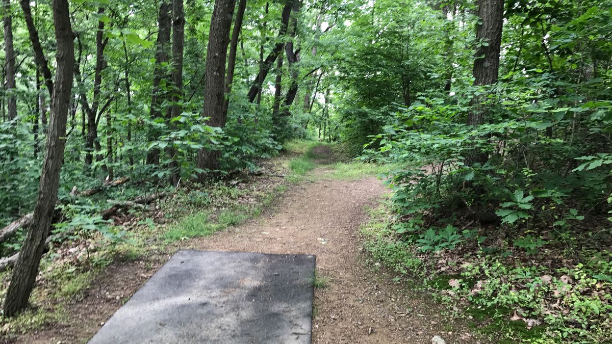 Hole 4