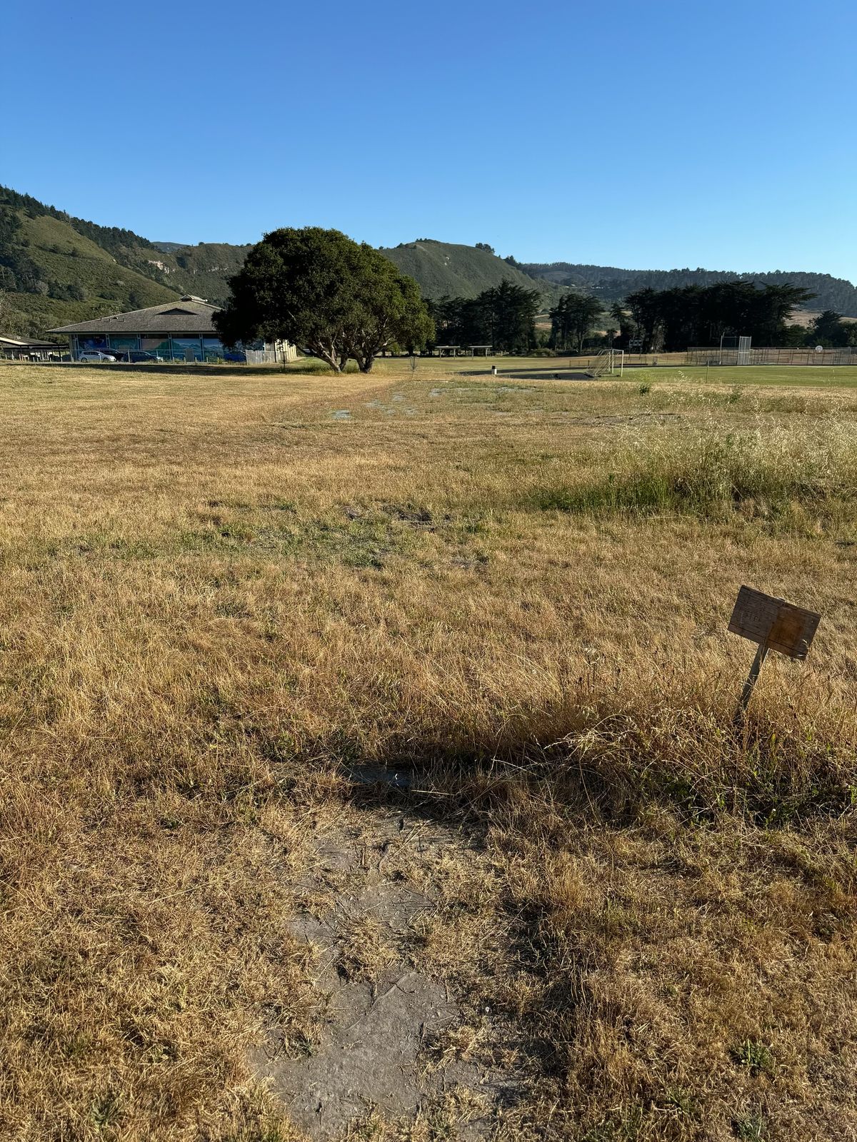 Hole 5