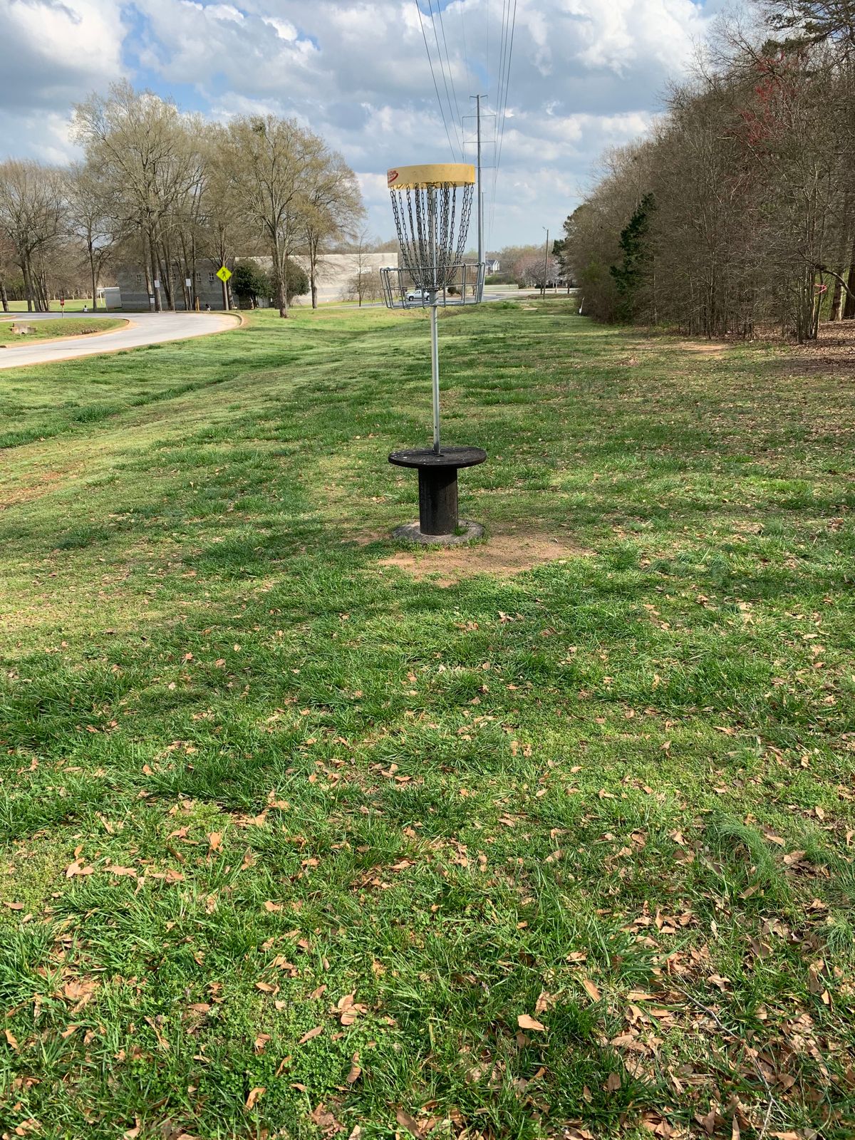 Elevated basket on #4.