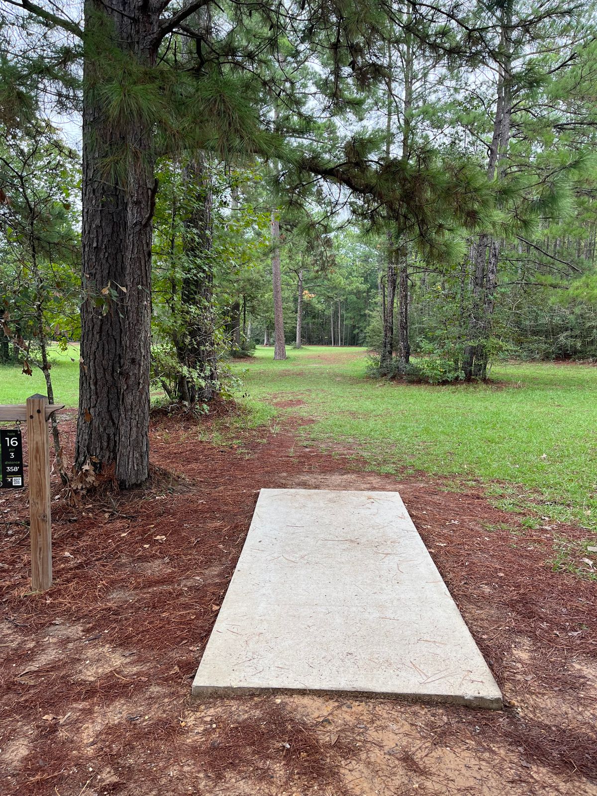 Hole 16 11/11/23