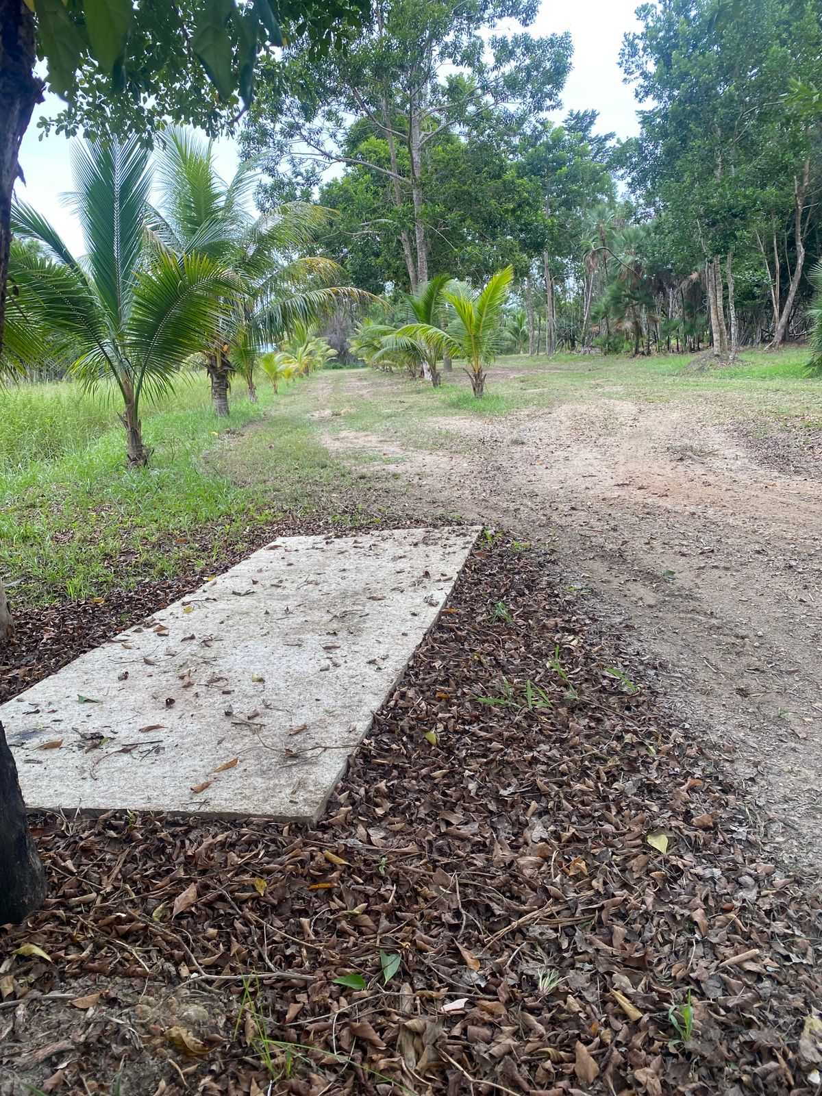 Hole 4
