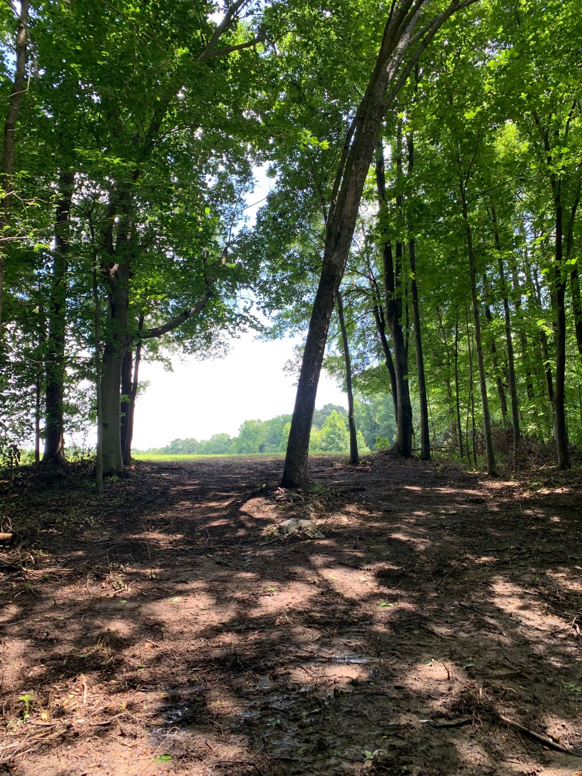 Hole 7 2nd Landing Zone. 