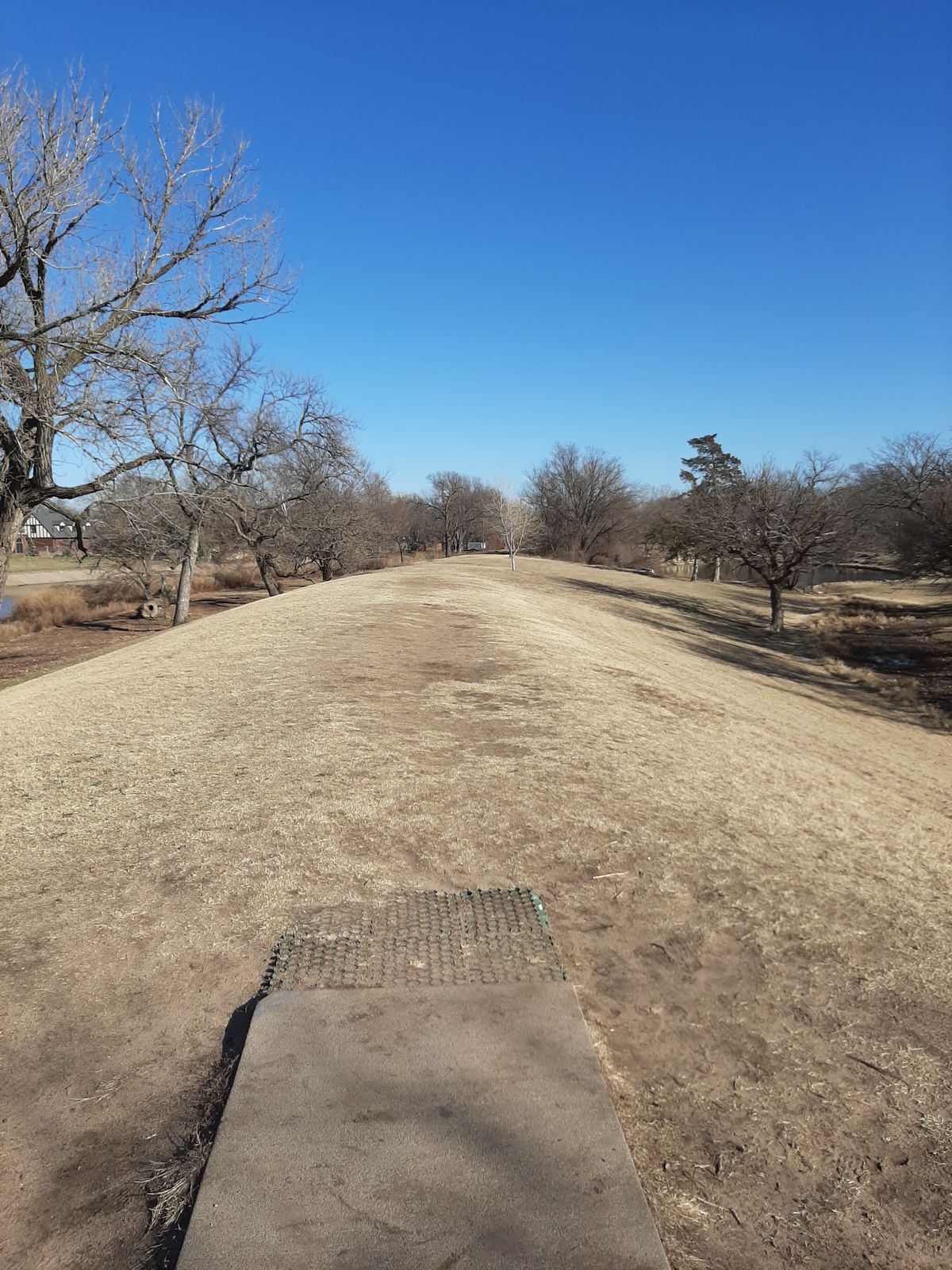 17 tee shot