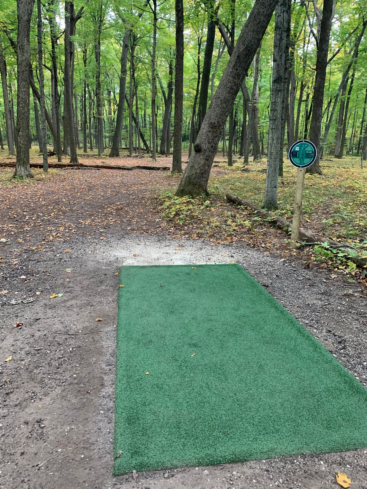 Short Tee #14