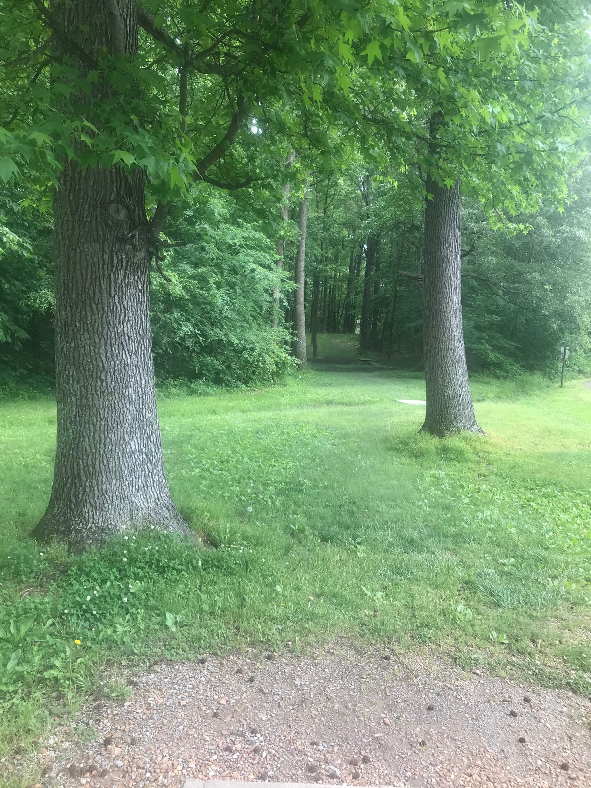 Hole 1 l