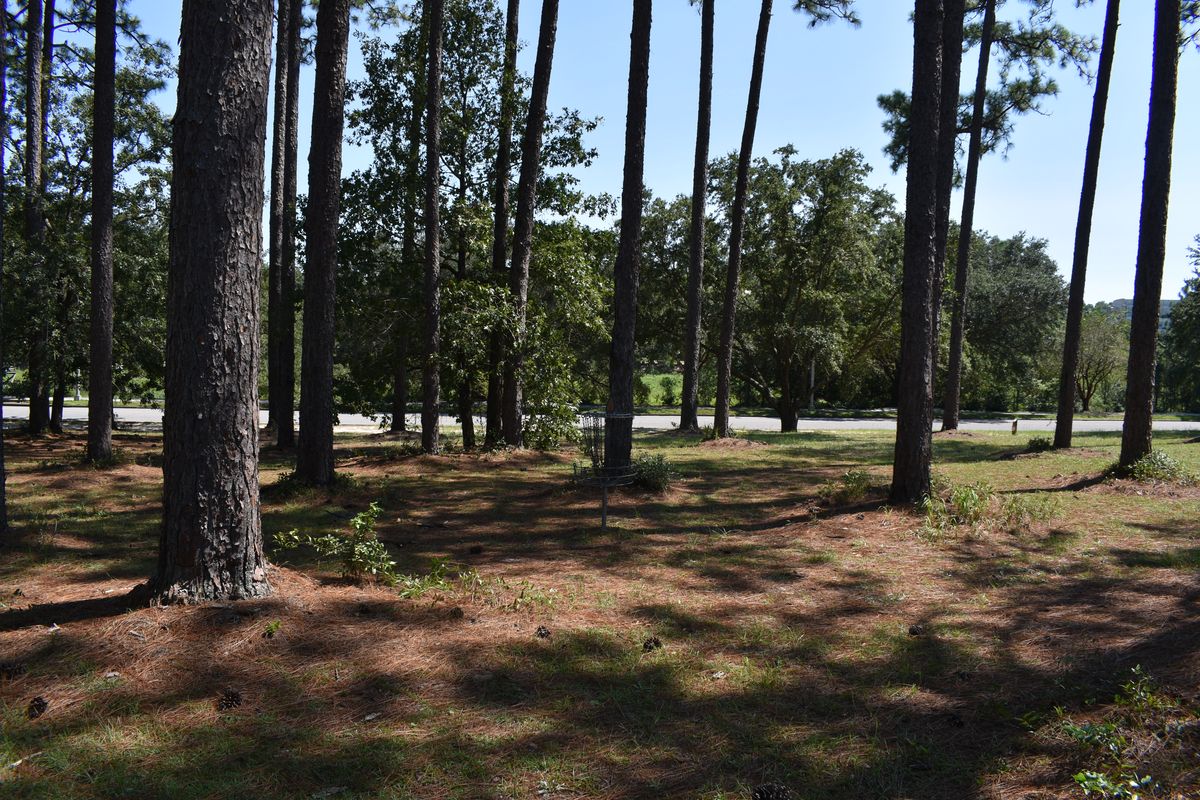 Hole 11’s Basket