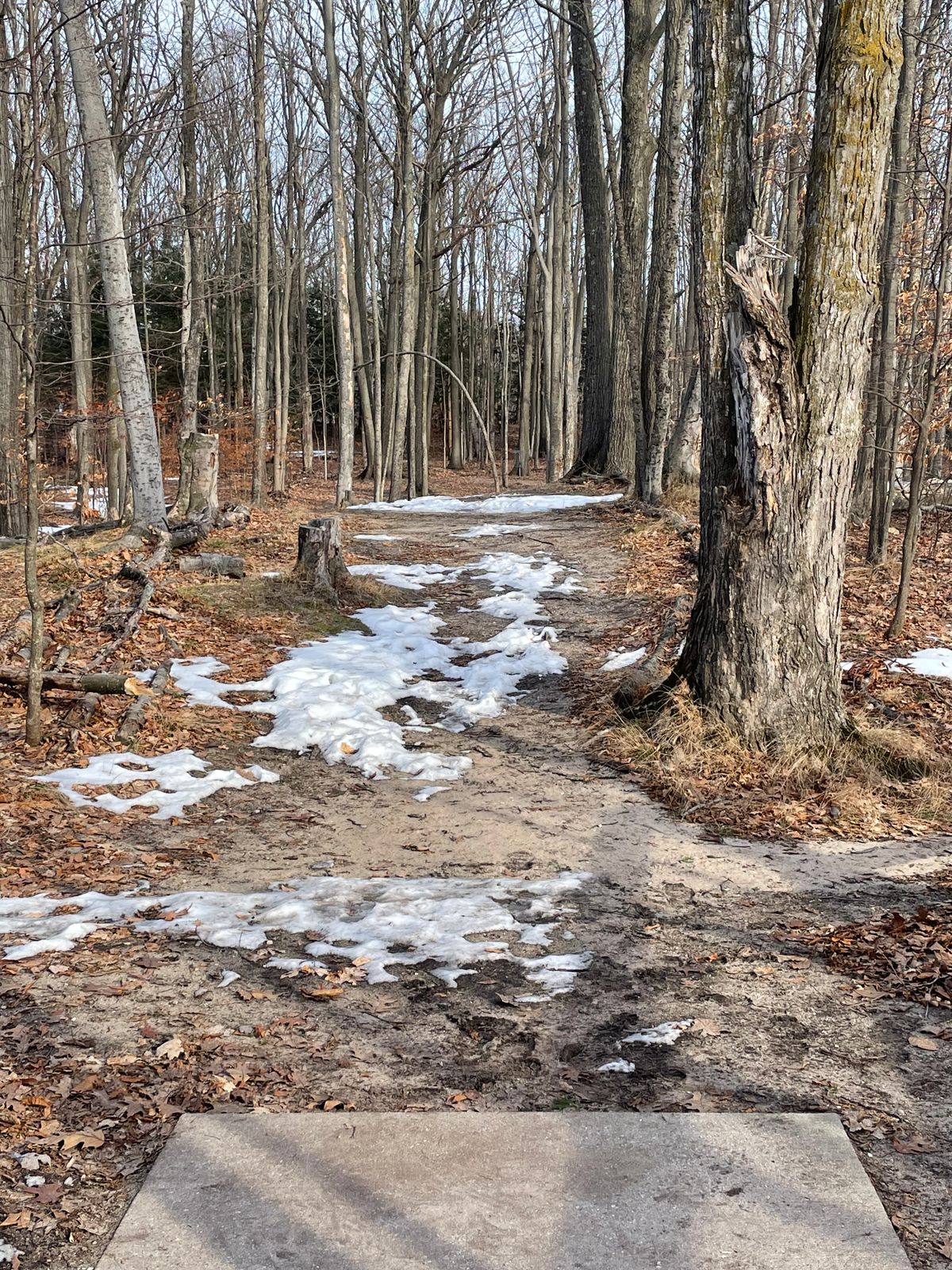 playable after a little January melt