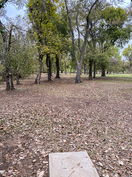 #3 Tee throwing north