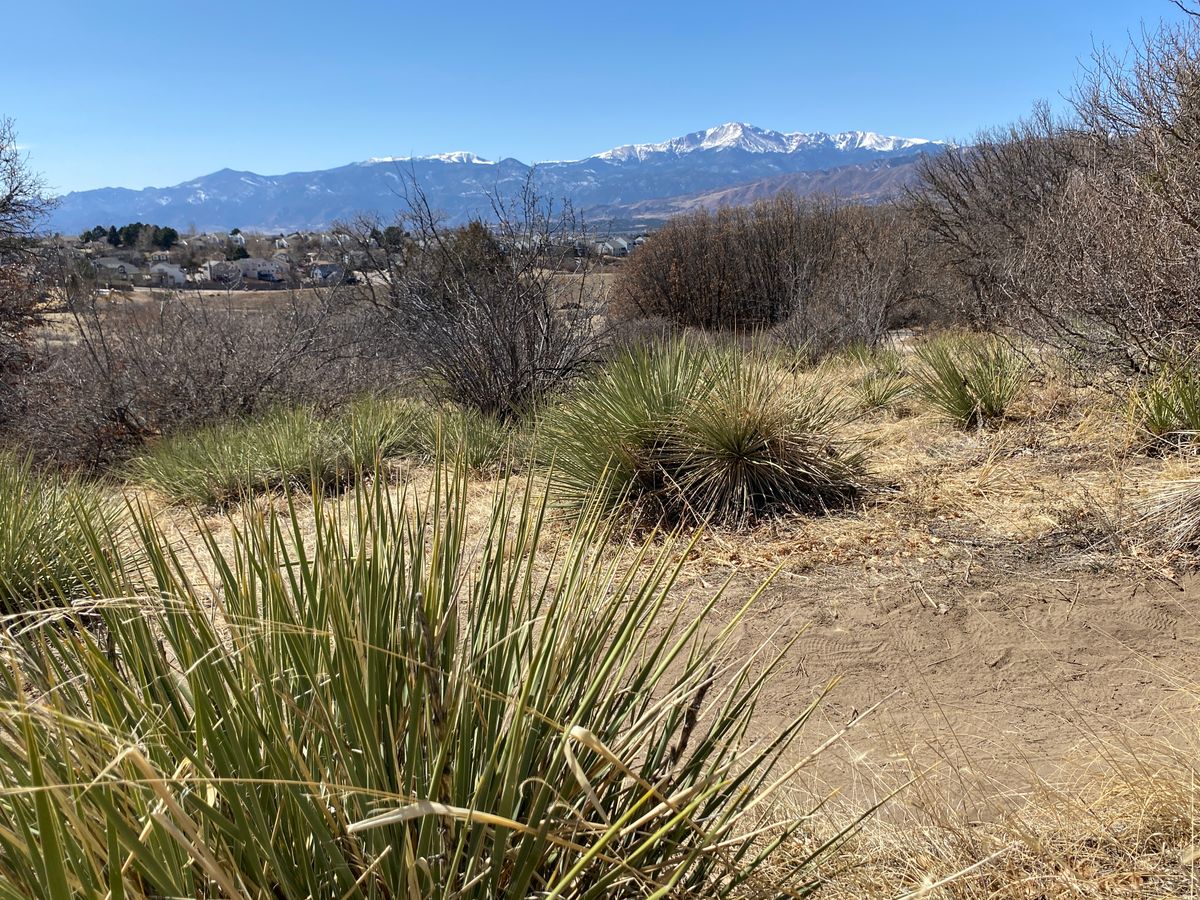 The constant views of Pikes Peak are what makes this course special. Long shots for days!
