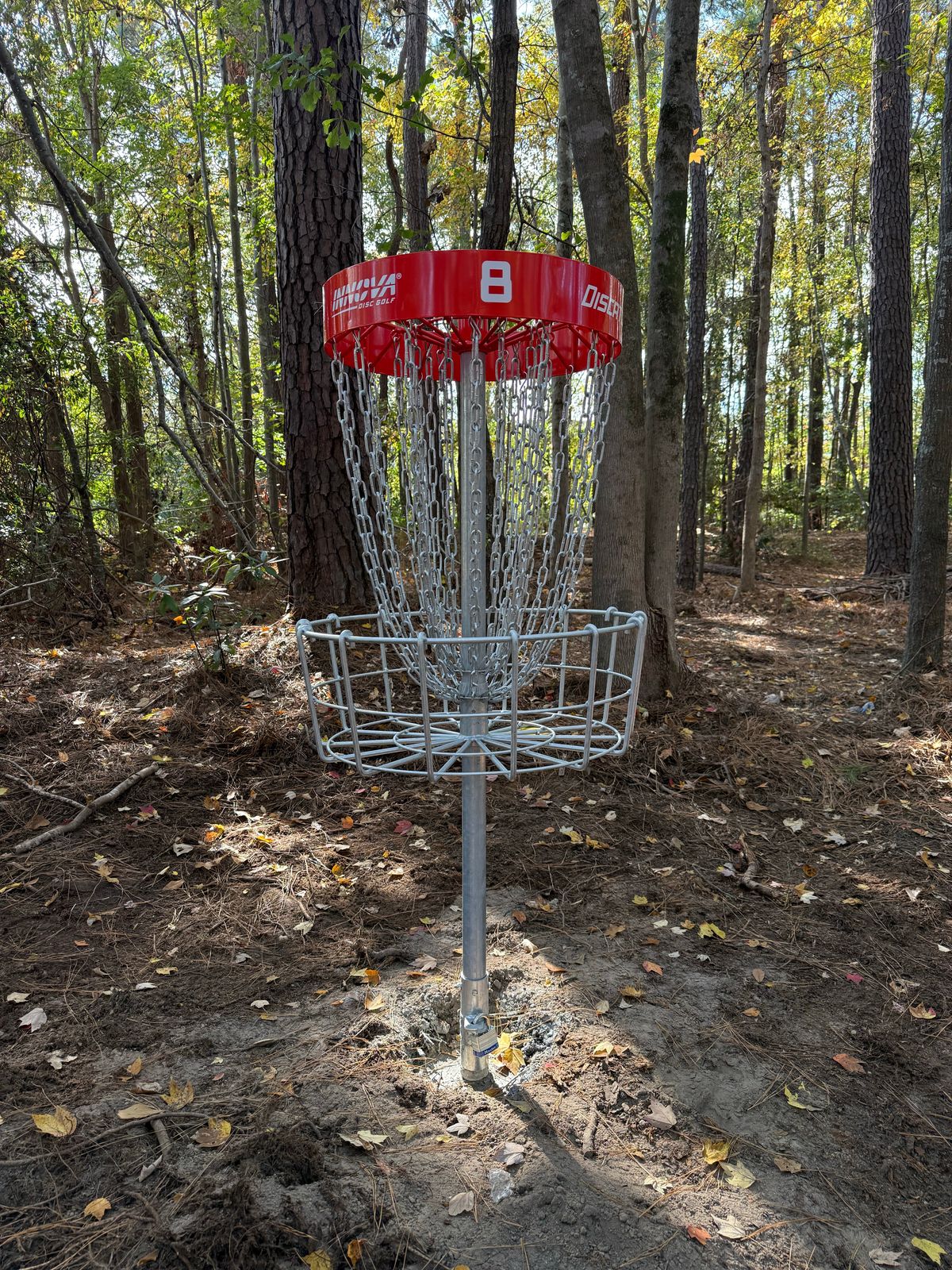 Hole 8 basket