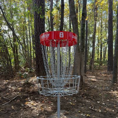 Hole 8 basket