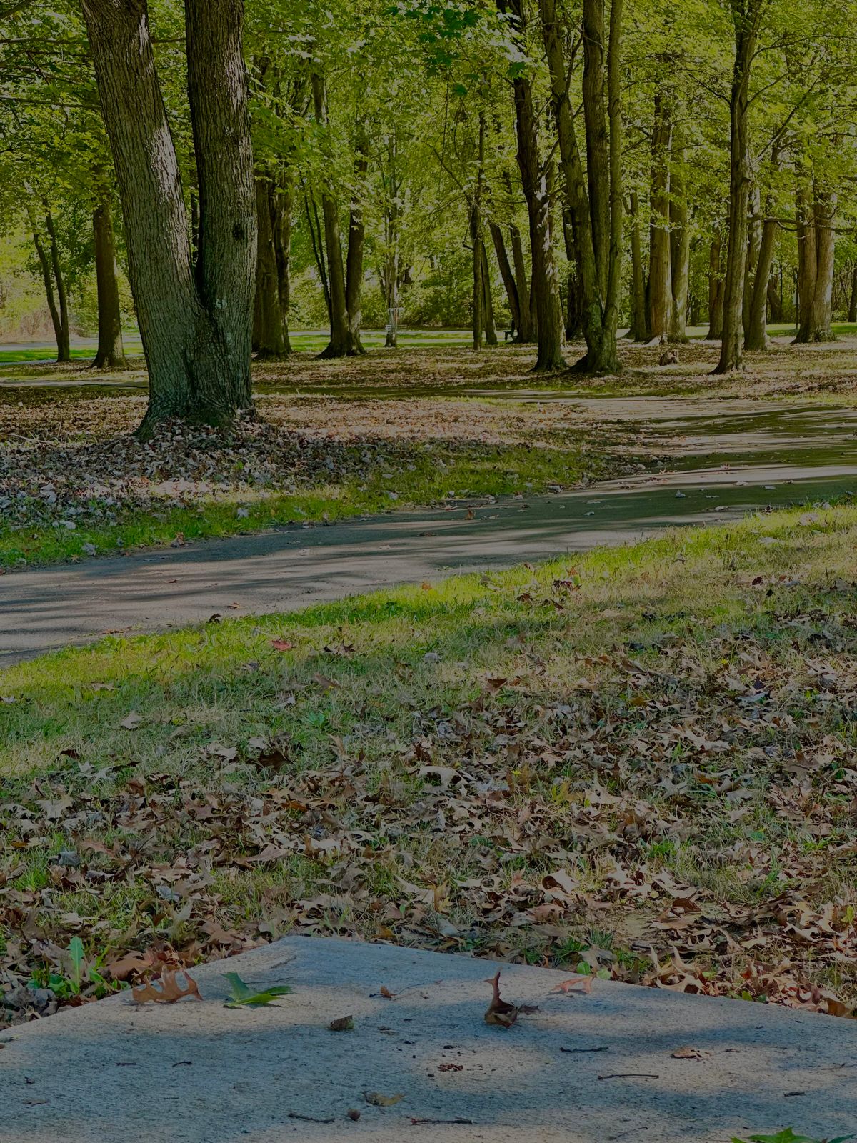 Basket Hole 3
