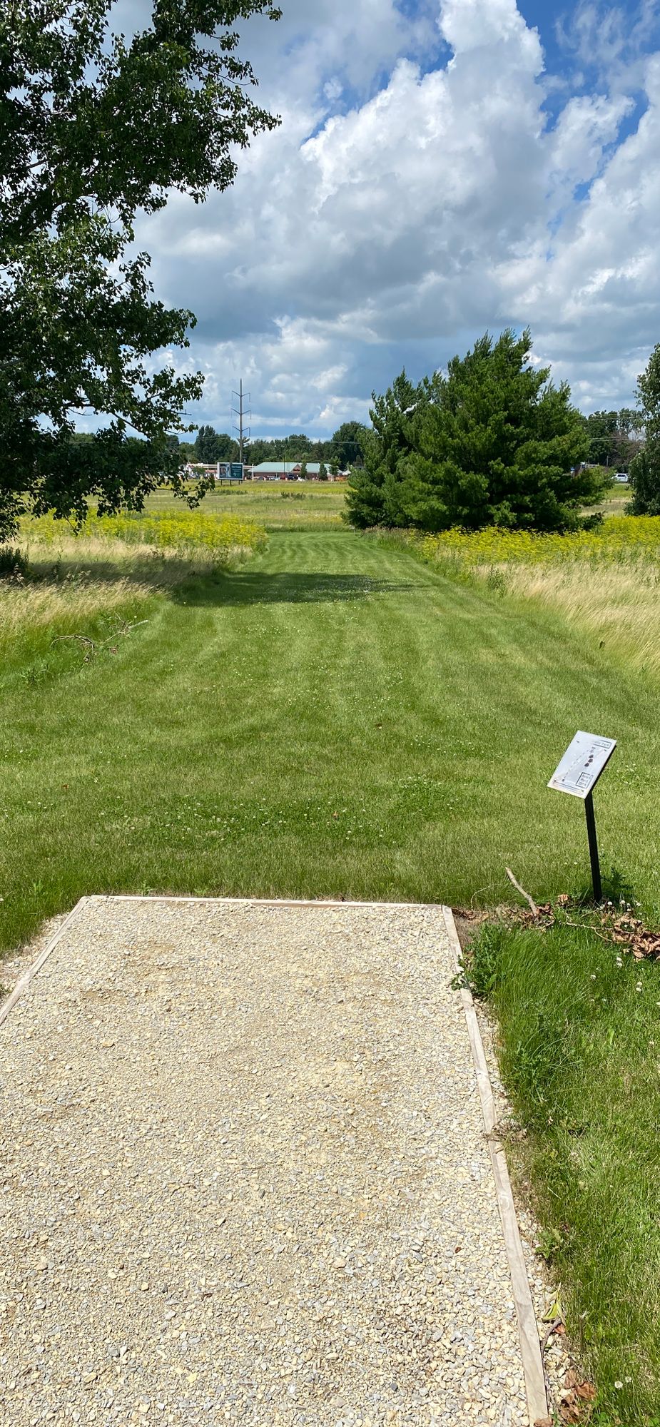 Tee 6
