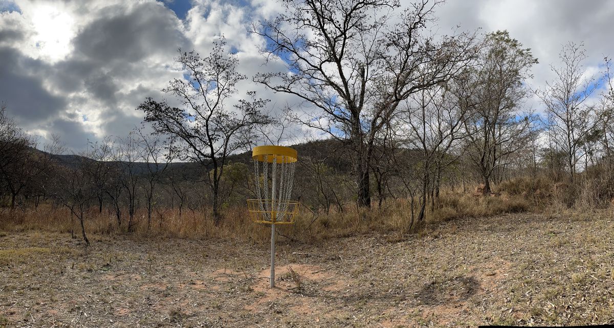 Basket of hole 8